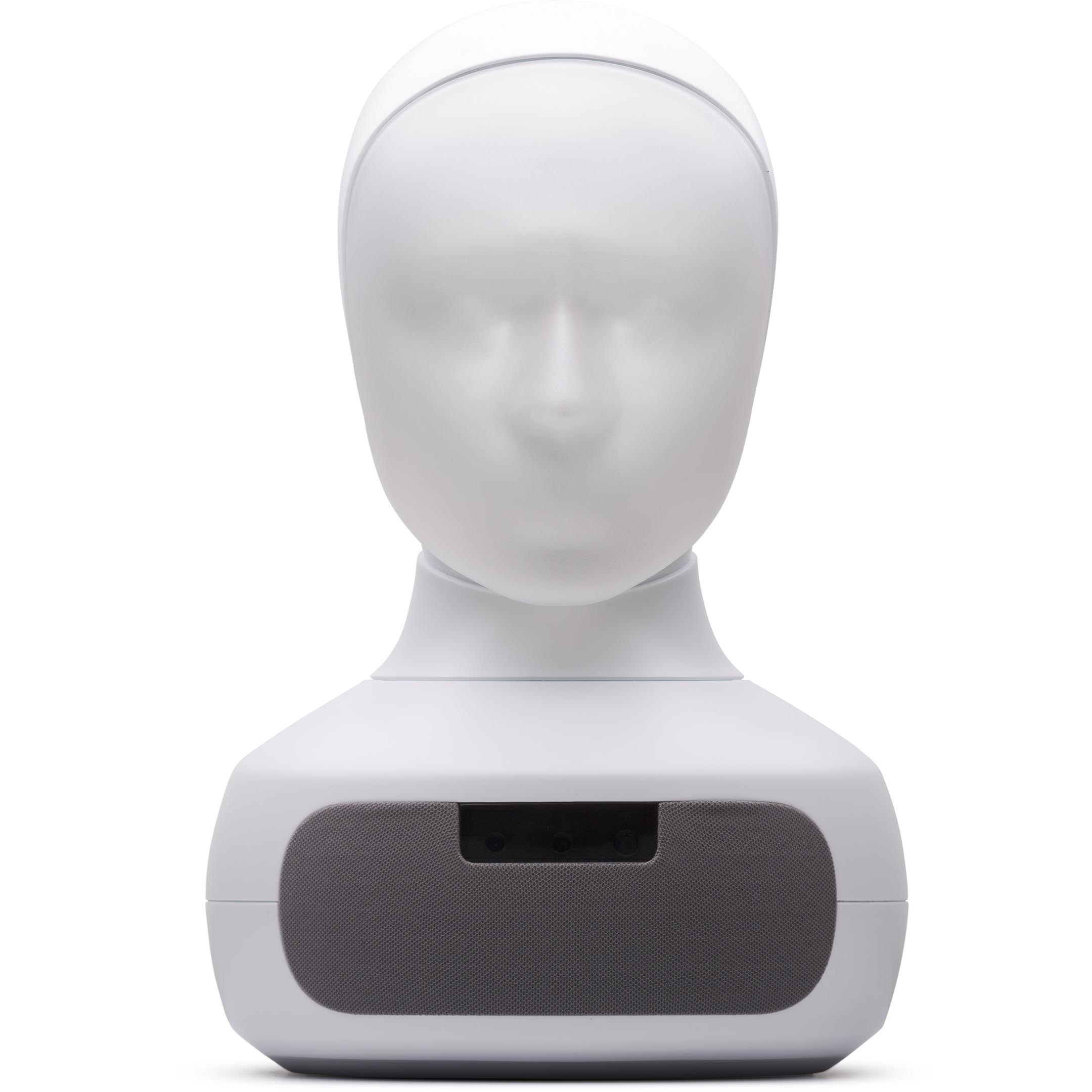 Furhat Robot